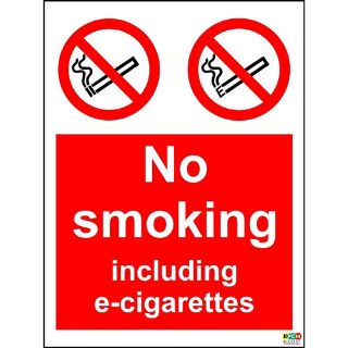 Picture of No Smoking Inc E-Cigarettes 