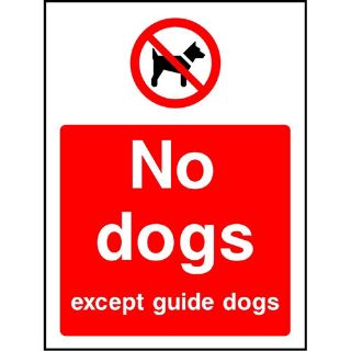 Picture of "No Dogs Except Guide Dogs" Sign 