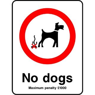 Picture of "No Dogs, Maximum Penalty 