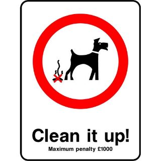 Picture of "Clean It Up!, Maximum Penalty 