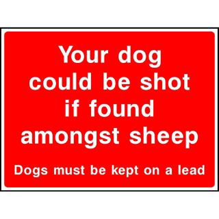 Picture of "Your Dog Could Be Shot If Found Amongst Sheep" Sign 