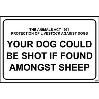 Picture of The Animals Act 1971 Protection Of Livestock Against Dogs Your Dog Could Be Shot If Found Amongst Sheep