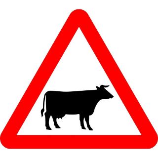 Picture of "Warning- Cattle" Sign 