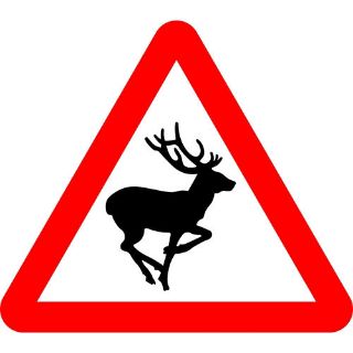 Picture of "Warning- Deer" Sign 