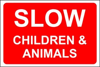 Picture of Slow Children And Animals