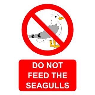 Do Not Feed The Seagulls Sign, Health and safety signs